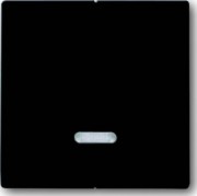 Bedienelement mit Glimmlampe 6545-81 