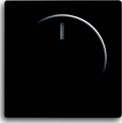 Zentralscheibe sw mt für Drehdimmer 6540-885-102 