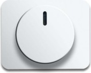 Zentralscheibe stws gl für Drehdimmer 6540-24G 