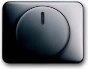 Zentralscheibe pla für Drehdimmer 6540-20 