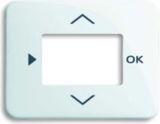 Zentralscheibe stws gl f.Timer-Bedienelem. 6435-24G 