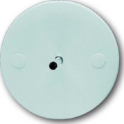 Lichtfühler 1-fach 6197/71 