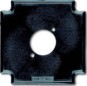 morepic-1