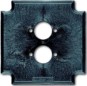 morepic-1