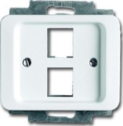 Zentralscheibe stws gl für 2 Modular Jack 2561-02-24G 