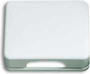 Zentralscheibe sws gl TAE/UAE/LS,Klappd. 1746-24G FN 