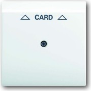 Zentralscheibe aws für Cardschalter 1792-74 