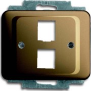 Zentralscheibe brz für 2 Modular Jack 2561-02-21 