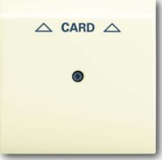 Zentralscheibe elf/ws für Cardschalter 1792-72 