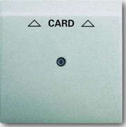 Zentralscheibe alu/si für Cardschalter 1792-783 