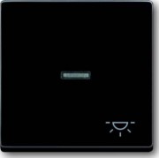 Wippe anth mit Symbol Licht 1789 LI-81 