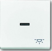 Wippe dav/sws mit Symbol Licht 1789 LI-84 