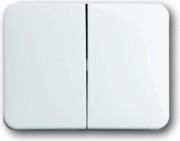 Wippe stws gl Serienschalt/-taster 1785-24G 