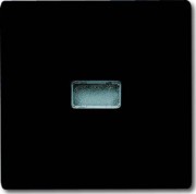 Wippe anth Kontroll-Wechsel 2107-35 
