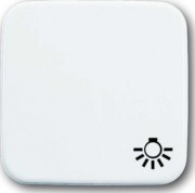 Wippe aws mit Symbol Licht 2520 LI-214 