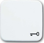 Wippe aws mit Symbol Schlüssel 2520 TR-214 