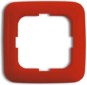 morepic-1