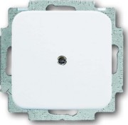 Blindzentralscheibe aws mit Tragring 2538-214 