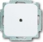 morepic-1