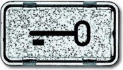 Tastersymbol Schlüssel 2622 TR-101 