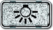 Tastersymbol Licht 2622 LI-101 