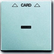 Zentralscheibe alusi für Cardschalter 1792-83 