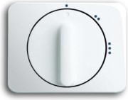 Zentralscheibe stws gl f.3Stufen-Drehschalt 2542 DR/02-24G 