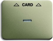 Zentralscheibe pall für Cardschalter 1792-260-101 
