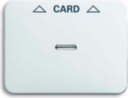 Zentralscheibe stws gl für Cardschalter 1792-24G-101 