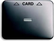 Zentralscheibe pla für Cardschalter 1792-20-101 