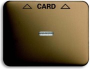 Zentralscheibe brz für Cardschalter 1792-21-101 