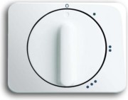 Zentralscheibe stws gl f.3Stufen-Drehschalt 2542 DR/01-24G 