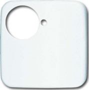 Zentralscheibe aws Ruftaster od.WC-Ruf 1790-581-214 