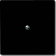 Blindzentralscheibe anth mit Tragring 2138-35 