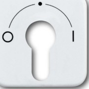 Zentralscheibe aws f.Schlüsselschalter 2557 SLPZ-214-101 