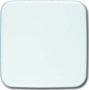Blindzentralscheibe aws 54x54mm 1576 C-214 