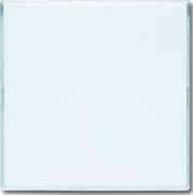 Blindzentralscheibe stws 63,5x63,5, m.Beschr. 1576 CN-84 