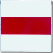 Zentralscheibe davos/stws rote+neutr. Kalotte 1573 CN-84 