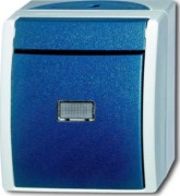 Taster Schliesser gem.ASV 2621 WGL-53 