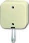 morepic-1