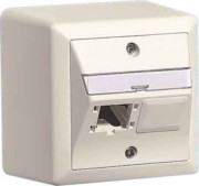 AP-Global-Dose 80x80, 2x1 Port 310786 