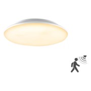 LED-Anbauleuchte m. Bewegungsmelder L30180125BM 