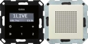 Unterputz-Radio RDS System 55 cws 228001 