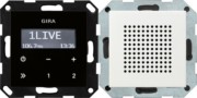 Unterputz-Radio RDS System 55 rws 228003 