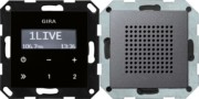Unterputz-Radio RDS System 55 anth 228028 