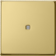 Wippe Kontrollfenster ms System 55 0290604 