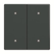 Wippe 2-fach Elektroniktaster 2570-20-81 
