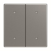 Wippe 2-fach Elektroniktaster 2570-20-866 