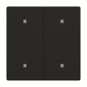 Wippe 2-fach Elektroniktaster 2570-20-885 