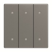 Wippe 3-fach Elektroniktaster 2570-30-803 